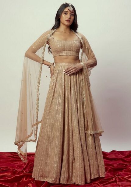 Brown Sequin Embroidered Georgette Lehenga Set