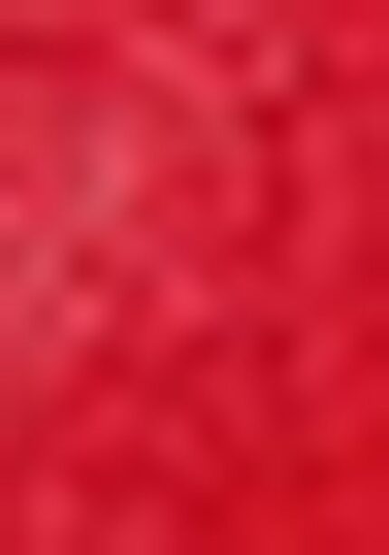 Red Sequin Work Art Silk Saree Set