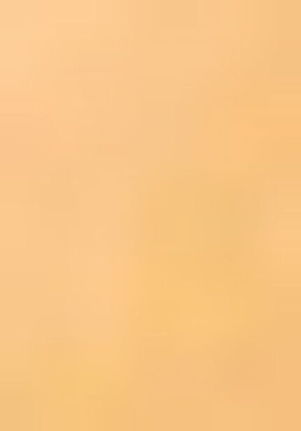 Peach Zari Work Silk Saree Set